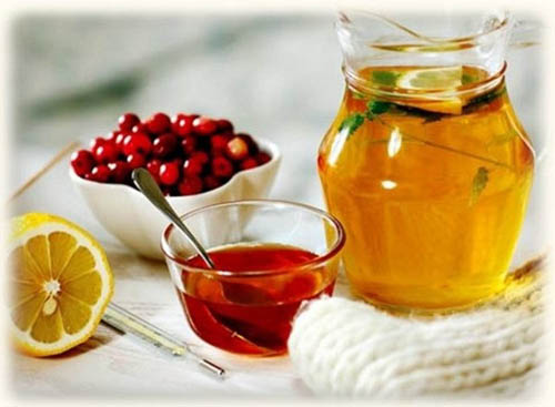 Bearberry: ārstnieciskas īpašības, pielietojums, foto