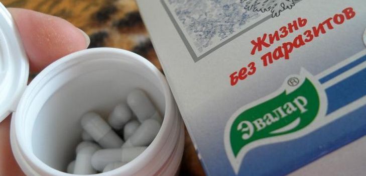 Pretparazītu līdzeklis ir Troyachatka Evalar. Sastāvs Instrukcijas. Atsauksmes